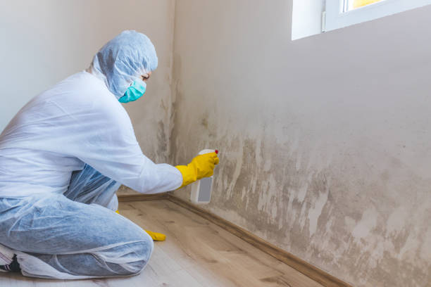 Mold Remediation specialist working in Germantown
