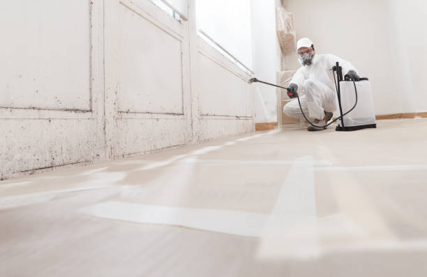Black mold remediation team in Germantown